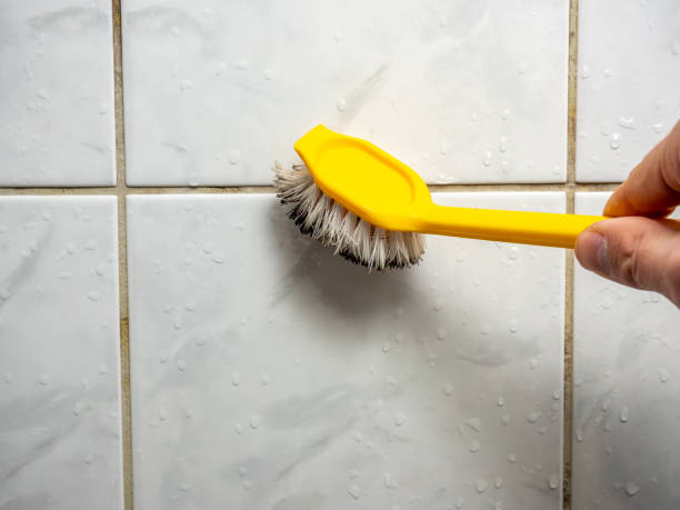 Best Toxic Mold Removal  in Apalachicola, FL