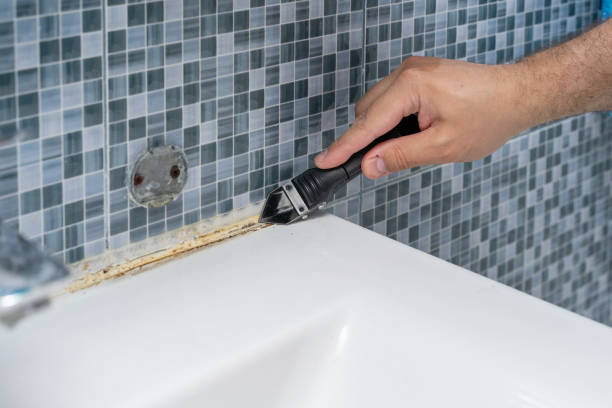 Best Commercial Mold Removal  in Apalachicola, FL